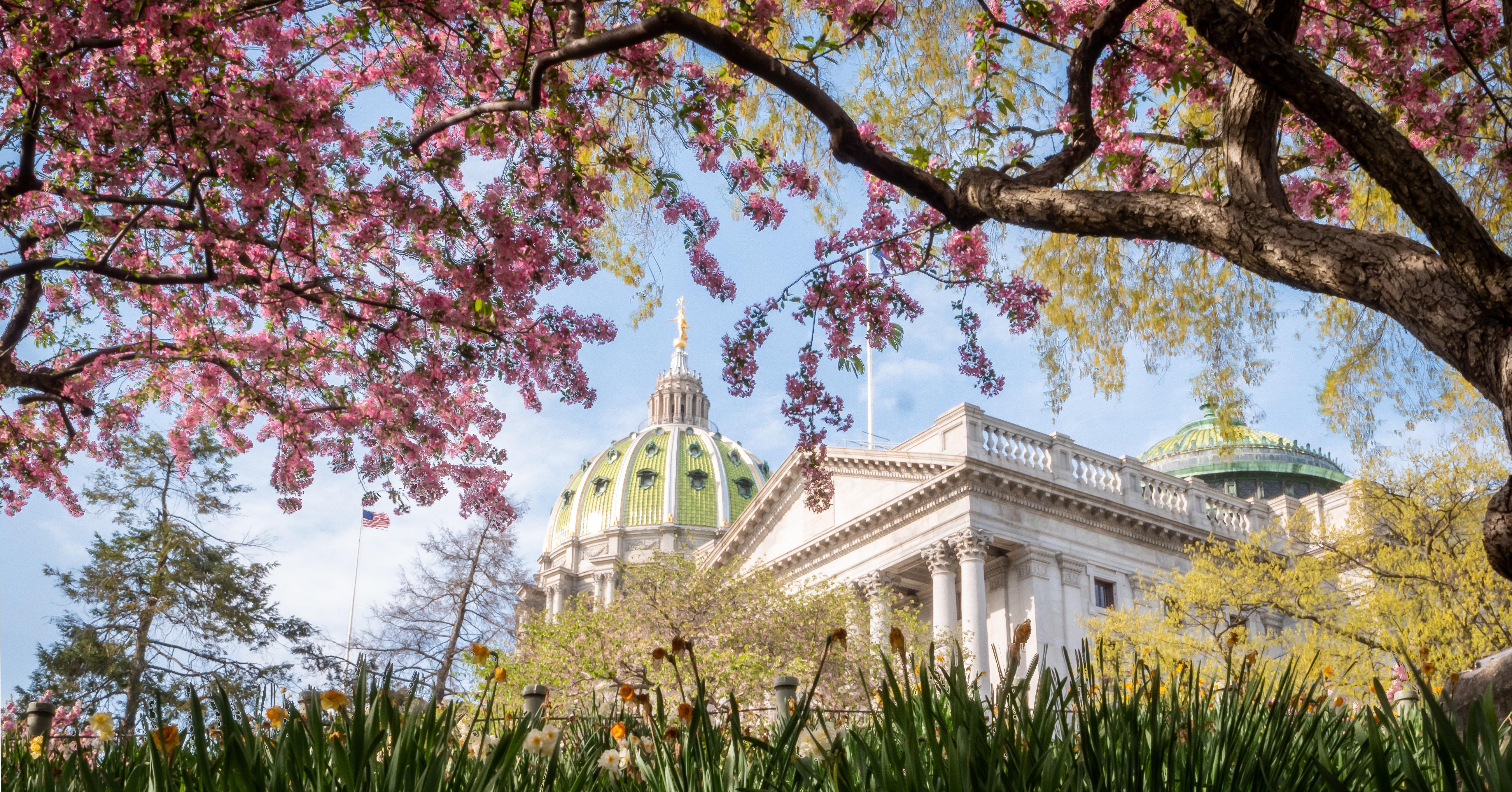 Holiday Inn Express Harrisburg East, An Ihg Hotel Luaran gambar